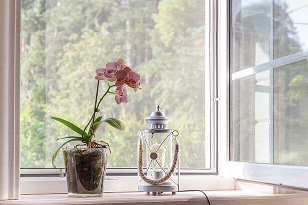 Μια ορχιδέα σε γλάστρα και ένα φανάρι τοποθετημένα σε περβάζι παραθύρου με θέα το πράσινο τοπίο έξω.