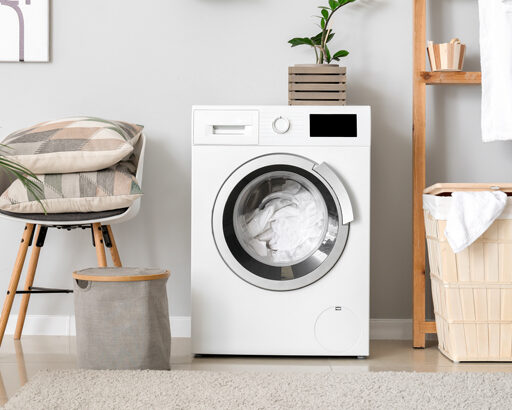 Ένα πλυντήριο, όπου πάνω βρίσκεται ένα φυτό εσωτερικού χώρου, τύπου ζάμια. Αριστερά βρίσκεται μια πολυθρόνα με μαξιλάρι πάνω και δεξιά μια ραφιέρα και ένα μπουρνούζι κρεμασμένο.