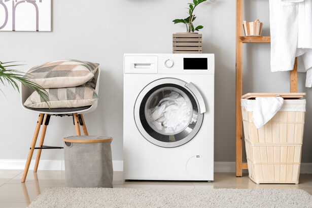 Ένα πλυντήριο, όπου πάνω βρίσκεται ένα φυτό εσωτερικού χώρου, τύπου ζάμια. Αριστερά βρίσκεται μια πολυθρόνα με μαξιλάρι πάνω και δεξιά μια ραφιέρα και ένα μπουρνούζι κρεμασμένο.