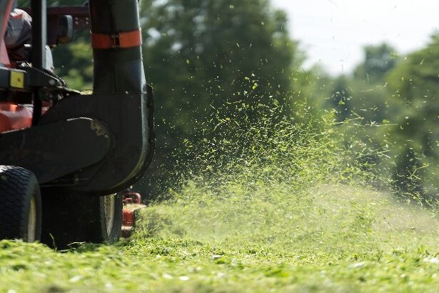 Καθαρισμός οικοπέδων: Τι πρέπει να ξέρεις και πως μπορείς να το κάνεις μόνος σου